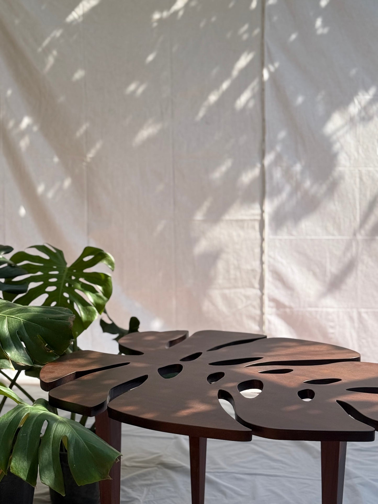 Monstera Table